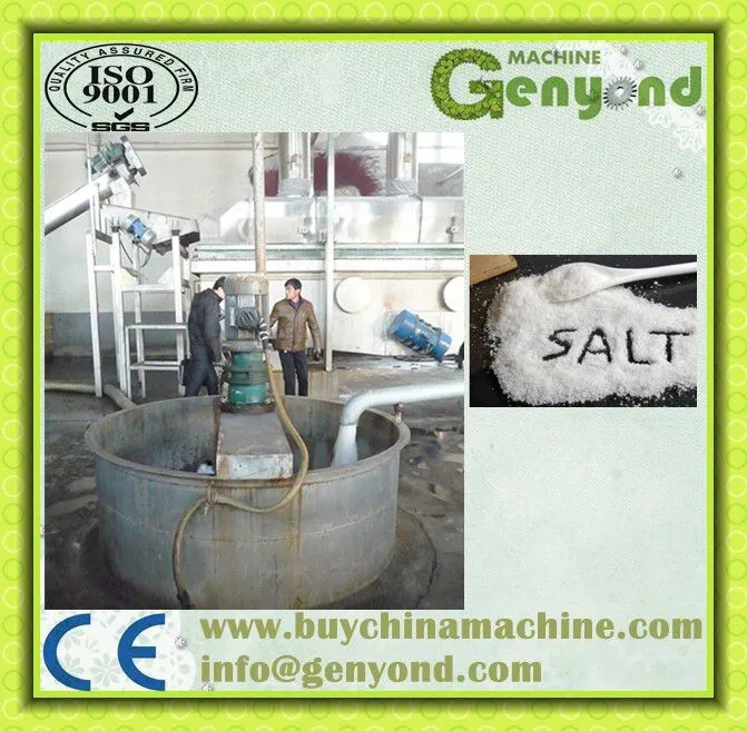 High Quality Salt Production Processing Line Plant Machine for Sale