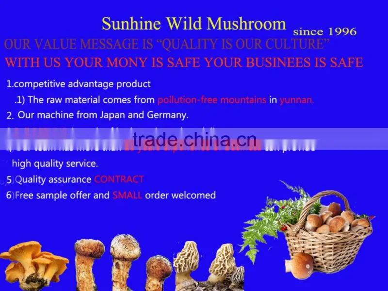 black truffles mushrooms price from yunnan