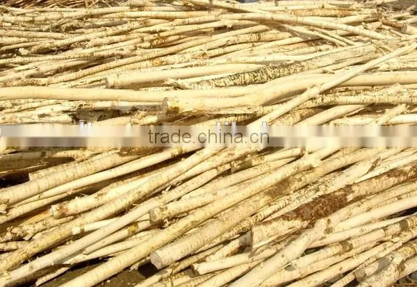 Group purchase price wood barking machine manufacturer