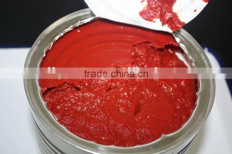 fresh canned tomato paste