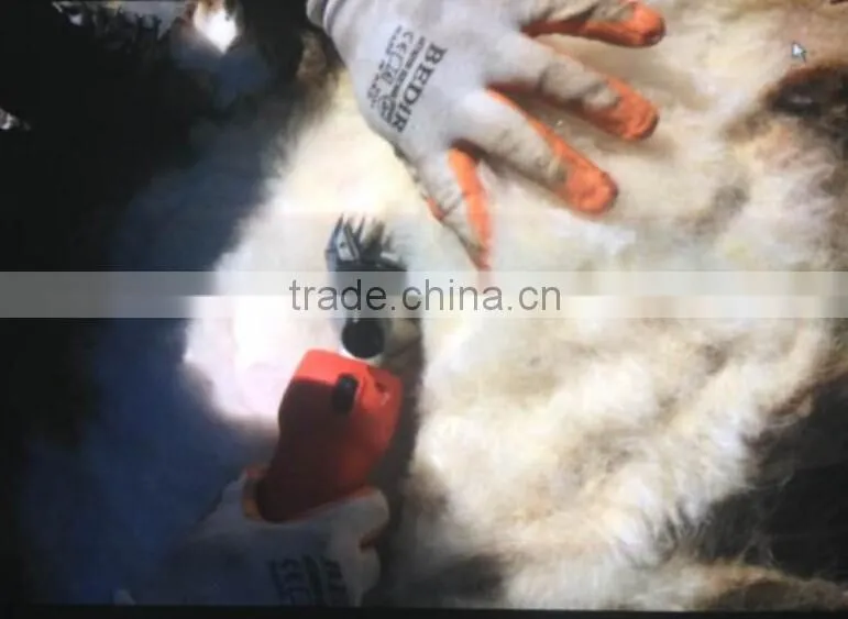 professional and big powerfull electric sheep clipper