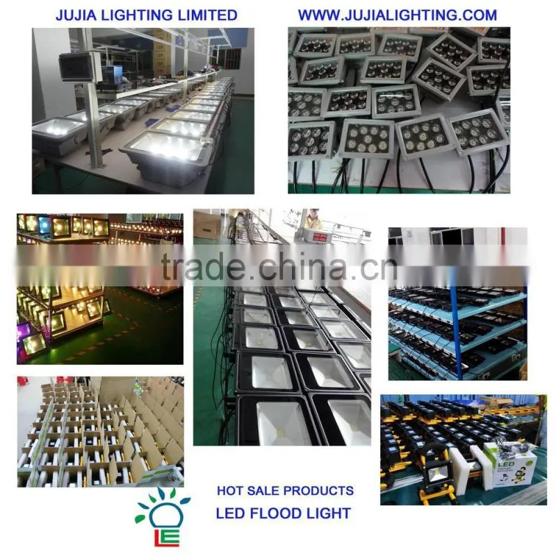 Newest AC100-240V IP65 30w LED Flood Light 30 watt