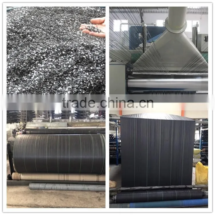 Agricultural pp weed mat shipping from china