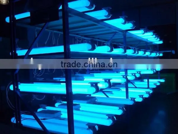 specical spectrum 600w induction grow light