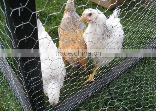 stainless steel chain link fence 6 foot chain link fence