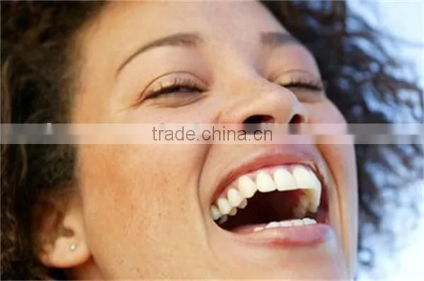 PTFE floss thread Dental Floss Picks