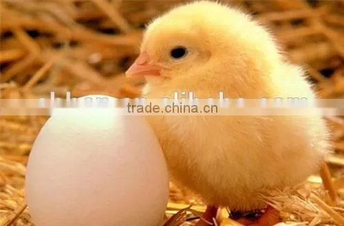DL-Methionine 99% Feed Grade
