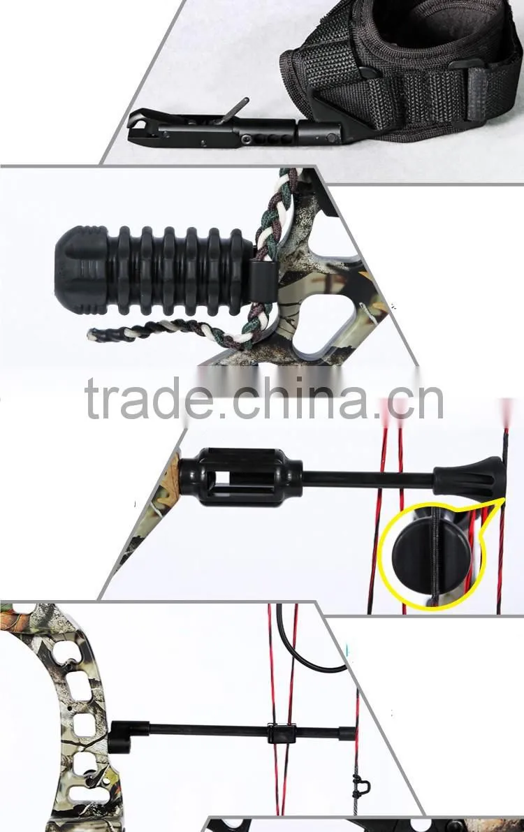 China Archery 310fps Compound Bow for Sale