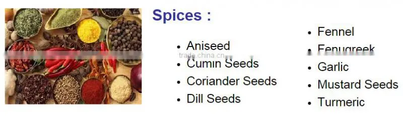Indian Spices - Indian Origin Cumin