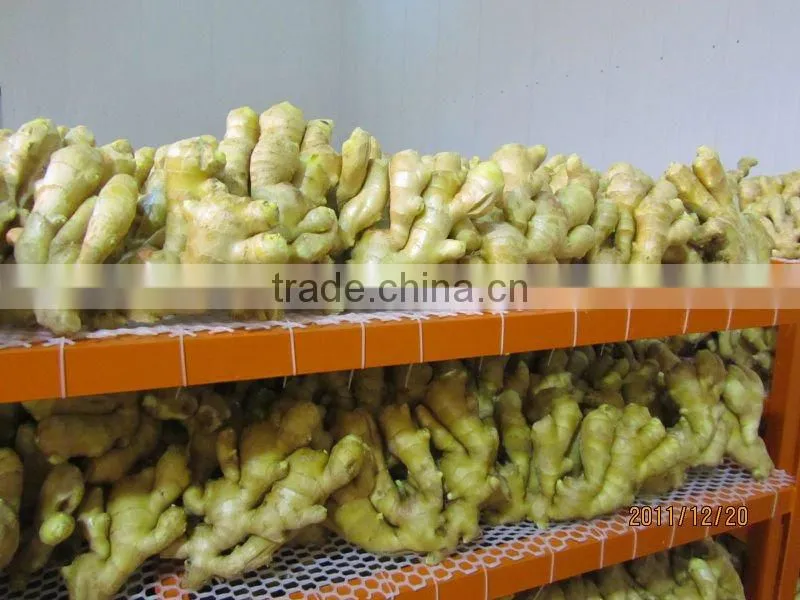 Organic fresh ginger