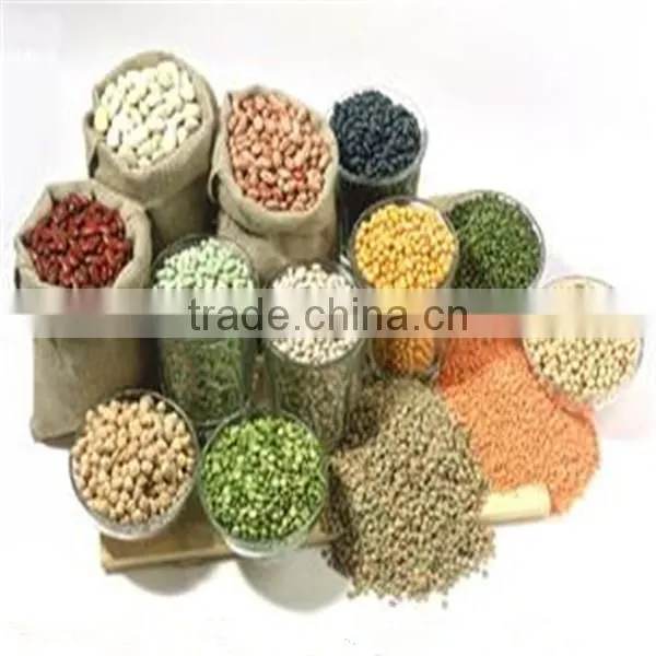 Factory directly supply stainless steel corn roasting machine