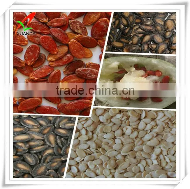 different types of seeds watermelon