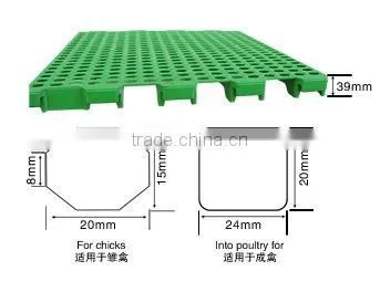 whole poultry plastic floor for duck farming