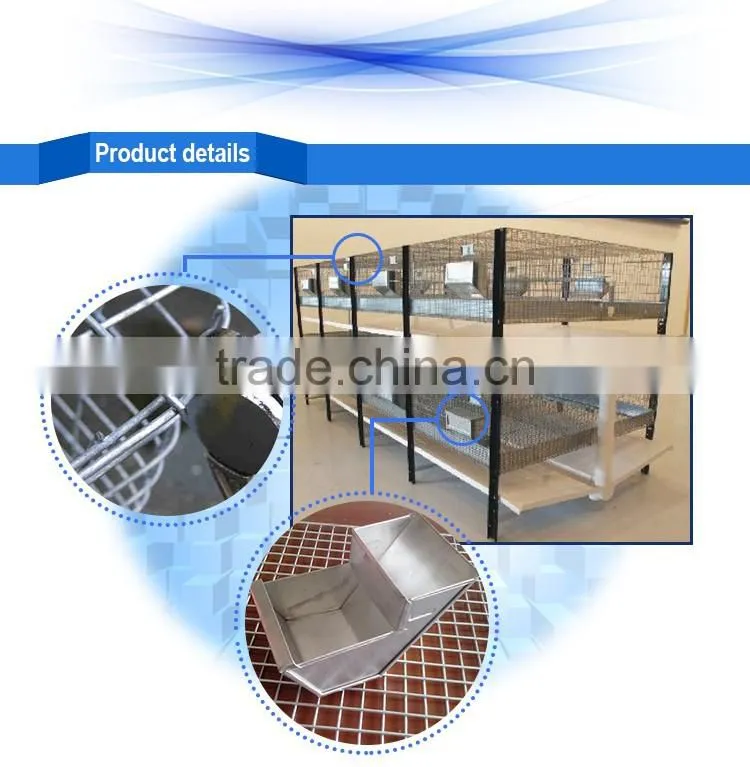 welded rabbit cage wire mesh