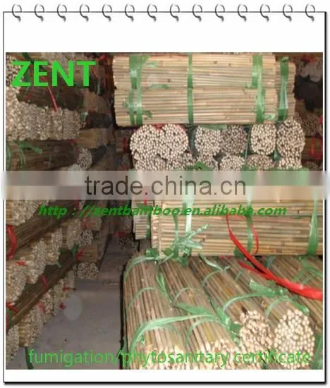 ZENT -125 Tonkin bamboo pole/Treated bamboo poles