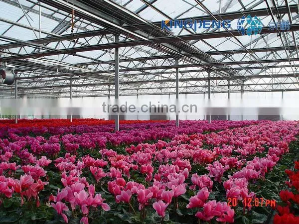 Multi Span PC sheet Greenhouse