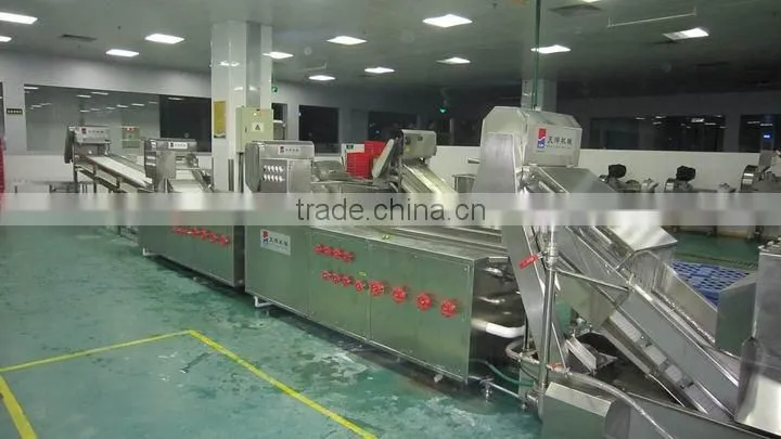 TW-307L automatical leafy vegetable washer (Video)