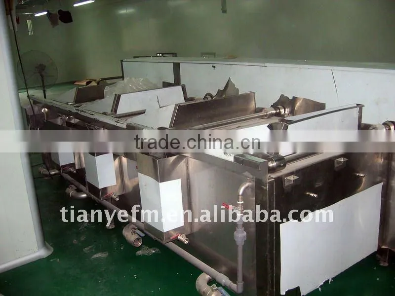 TW-475 Hot Selling Fruit and Vegetable washing machine (Video)