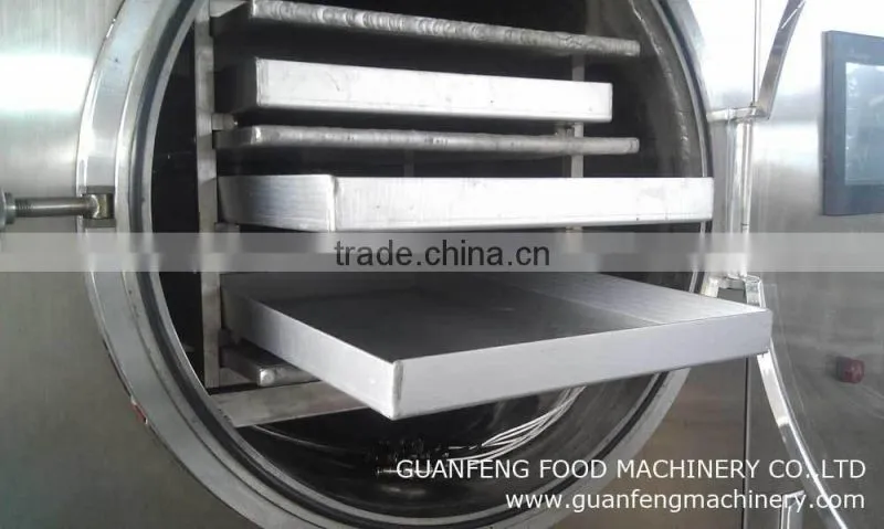 Quality Warranted Food Processing Machinery Fruit Lab Vacuum Freeze Dryer