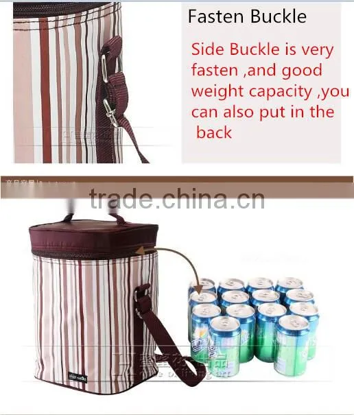 Waterproof Travel Picnic 10.1L Lunch bag Snack Tote Isothermic Cooler Handbag with Lunch Box