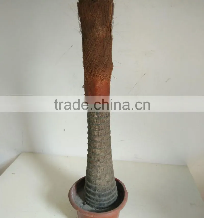 big fan kwai artificial palm tree