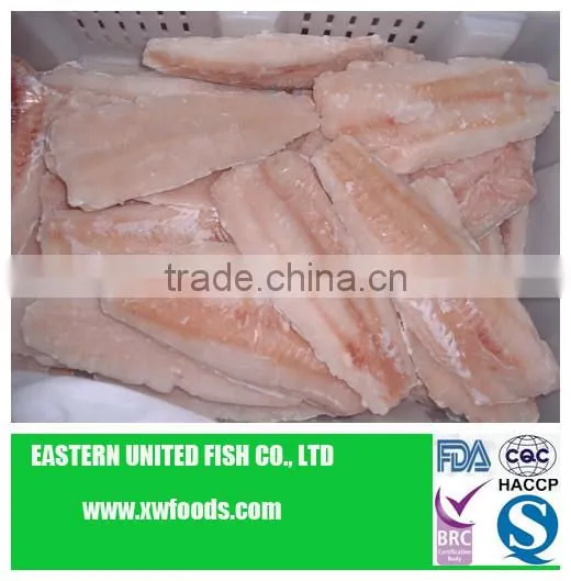 pacific hake fish