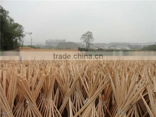 broom handle wooden stick