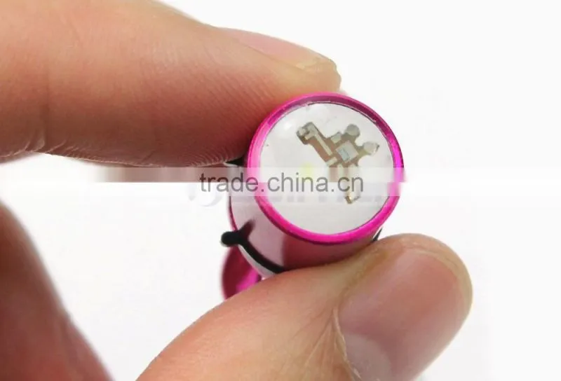 Promotion Gift Pet Neck Location LED Flash Light Carabiner Lamp