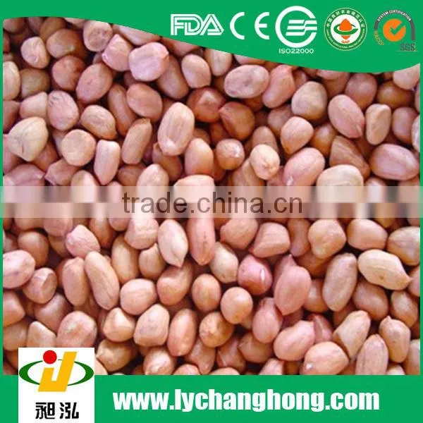 2015 new crop peanut/ peanut kernels