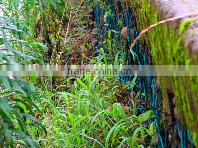 gabion box(iso9001 factory,SGS,3000hs Salt Spray Test)