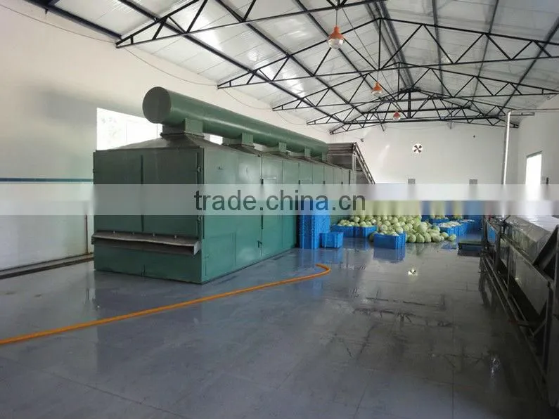 Cabbage Drying System