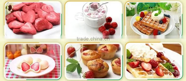 Freeze Dried Fruit Freeze-Dried Strawberry Slice