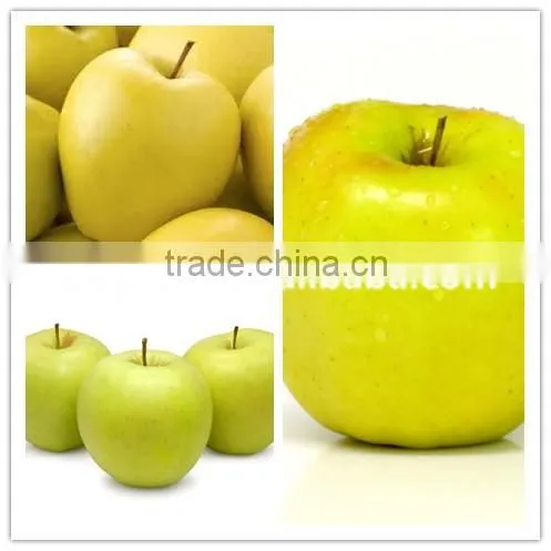 We are supply fresh Golden delicious with best prices for sale