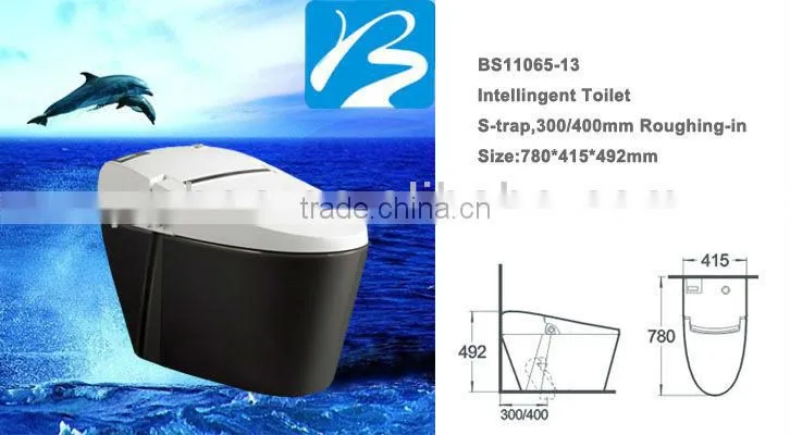 Export 1-PC Water-Saving WC Toilet