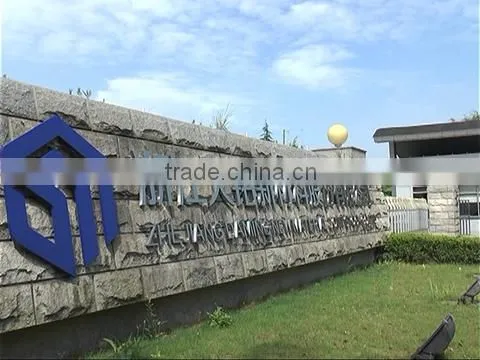 Zhejiang Daming New Material Joint Stock Co., Ltd. company overview - view 1