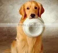 Pea Protein Food/Petfood/Feed Grade