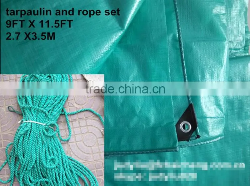 make-to-order pe tarpaulin by China supplier for various usage