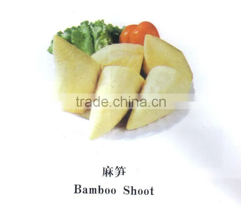 567g Canned Bamboo Shoot Whole