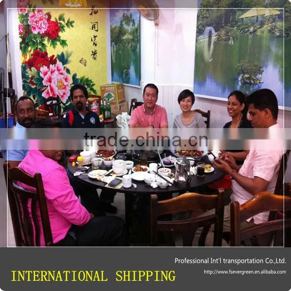 Sea Freight For Foshan Ceramic Tiles Container Sea Transportation
