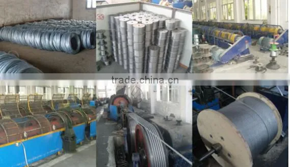 Canada 316 316l steel wire rope Anping Factory