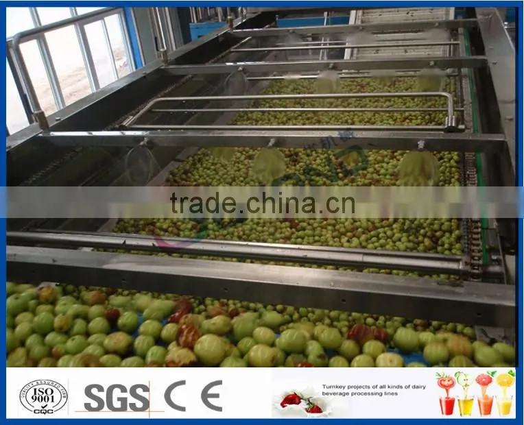 Chinese date juice processing line