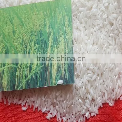 VIETNAM 5% BROKEN LONG GRAIN RICE WITH AAA GRADE QUALITY