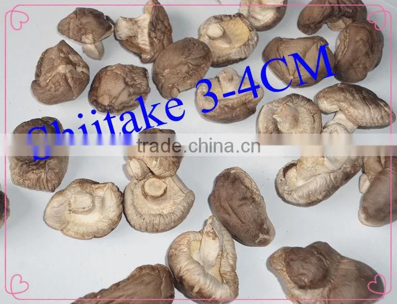 dry shitake slice dry whole shiitake cultivated mushroom