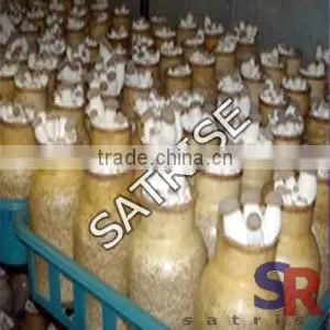 mushroom production Equipment Plastic Inoculation Stick Low Price