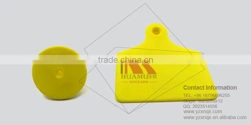 TPU ear tag for calf in yellow 60*56 mm