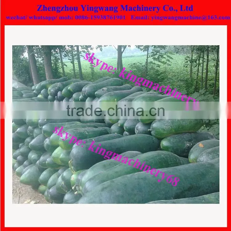 wax melon skin removing machine 0086-15938761901