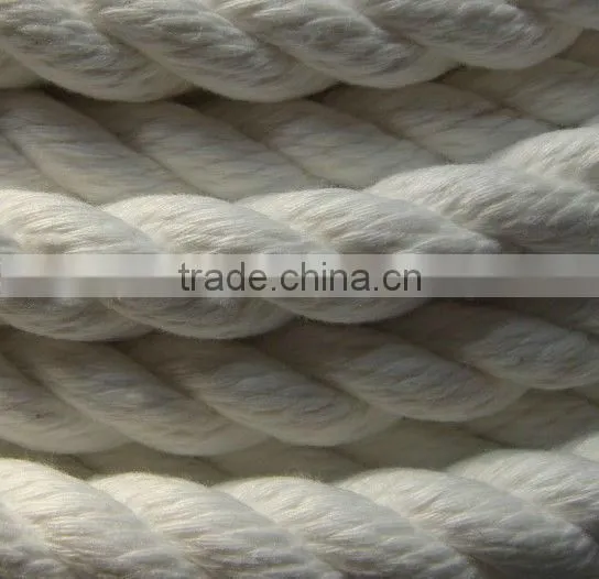 Polyester rope