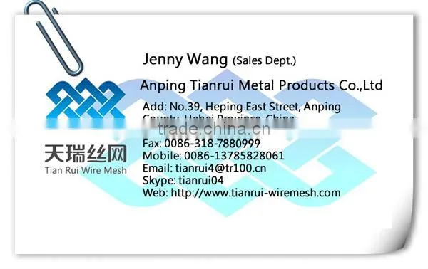 50x50mm opening galvanized Welded Wire Mesh