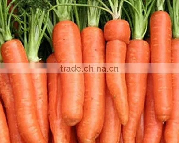 stainless steel industrial electric potato peeler