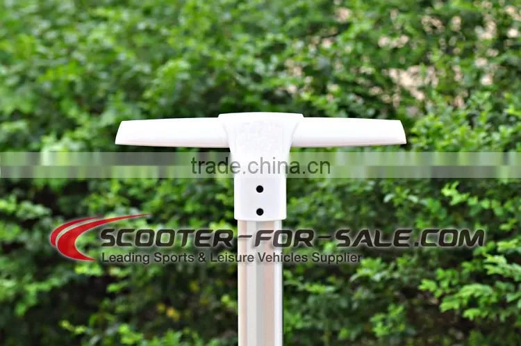 Best China two wheel smart balance electric scooter/ electric chariot for sale